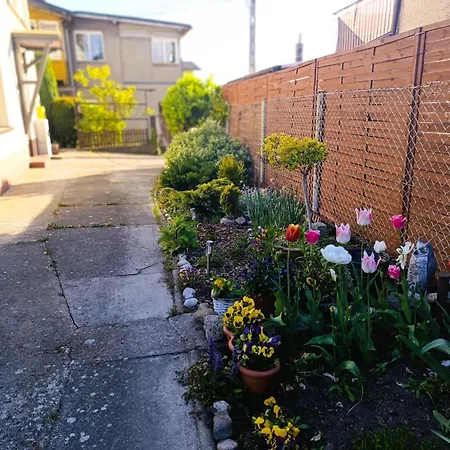 Appartement In Mi Dzyzdroje Near The *