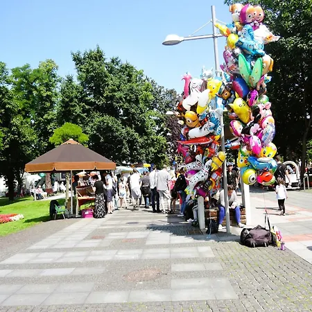 In Mi Dzyzdroje Near The Appartement