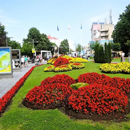 Appartement In Mi Dzyzdroje Near The *