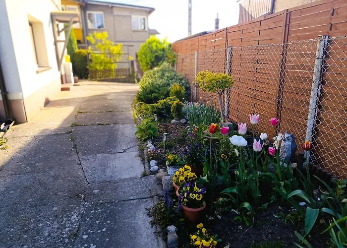 Διαμέρισμα In Near The *